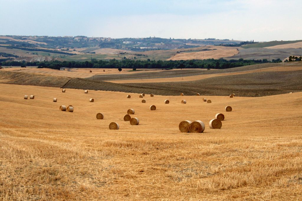 Confesercenti Siena: la bellezza ed il gusto, i siti Unesco e la cucina italiana al TTG di Rimini con le agenzie viaggi